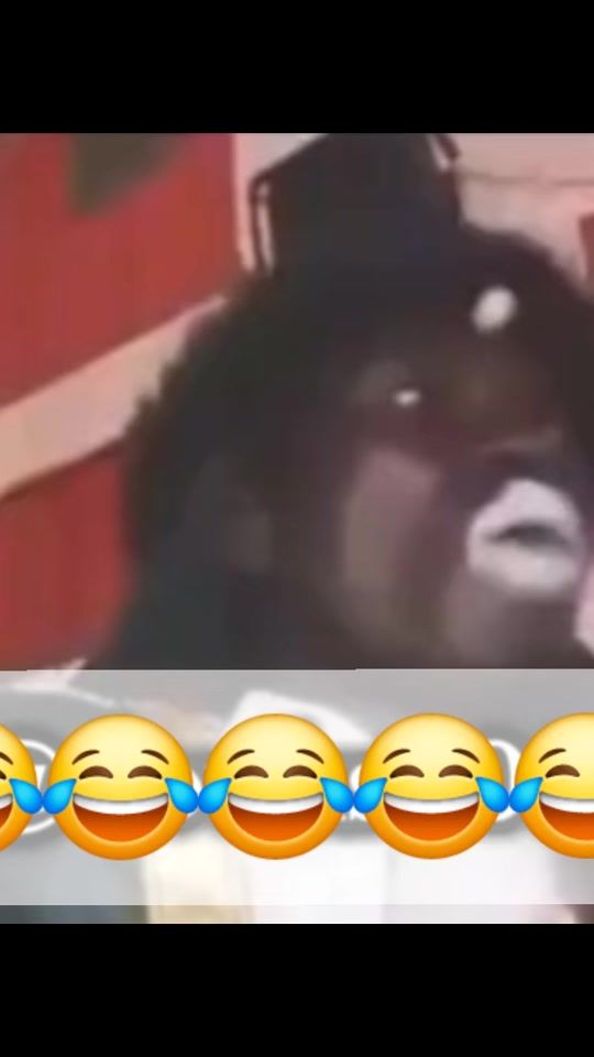 TikTok video thumbnail by weshmoh06