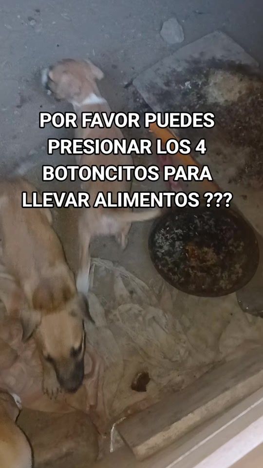 TikTok video thumbnail by yasedfernandez
