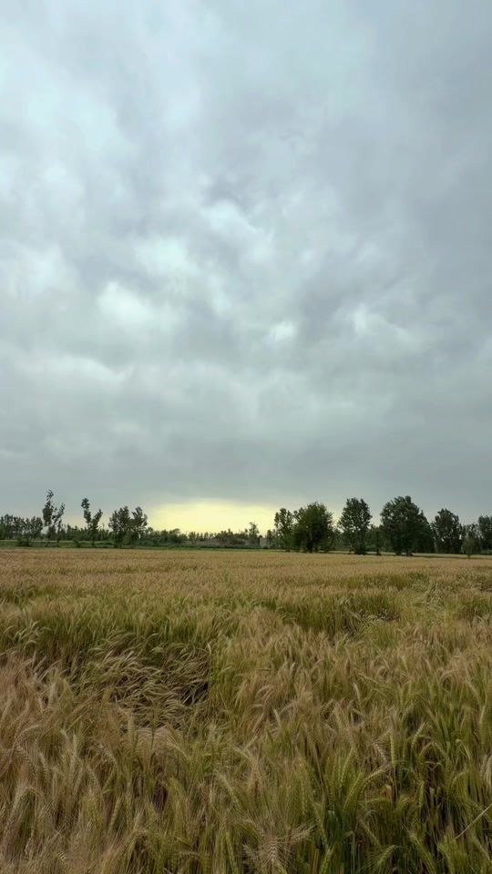 TikTok video thumbnail by zrsohail2