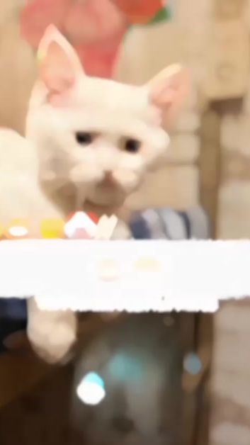 TikTok video thumbnail by innocent_prince13