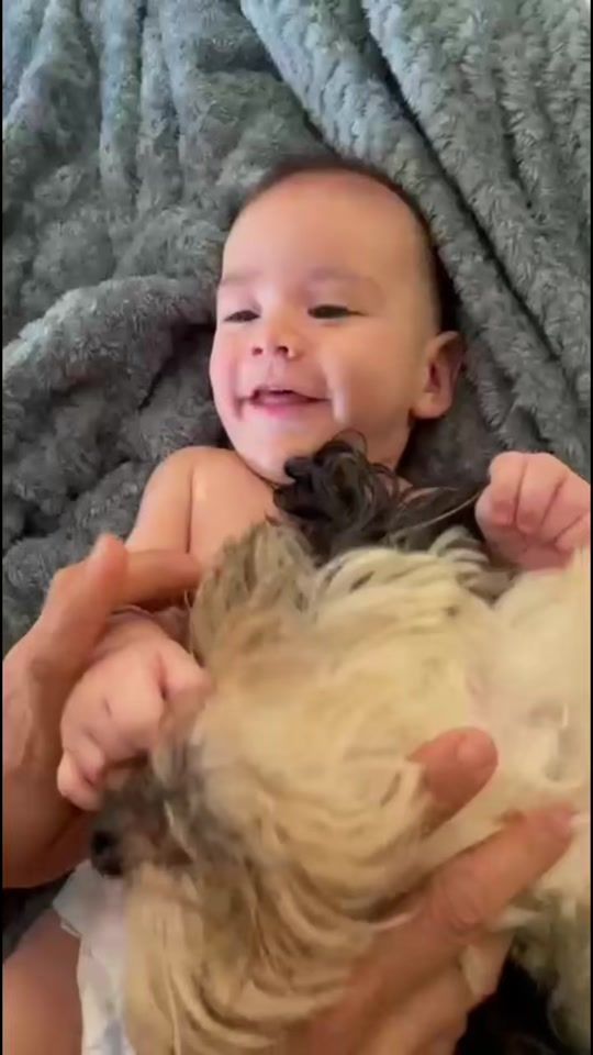TikTok video thumbnail by la.manadadechester