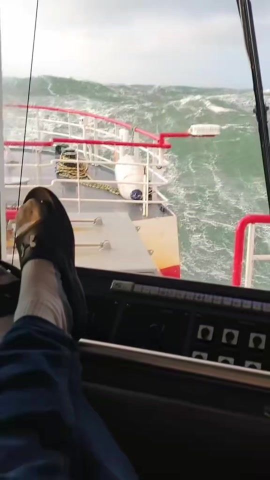 TikTok video thumbnail by diver_shark99