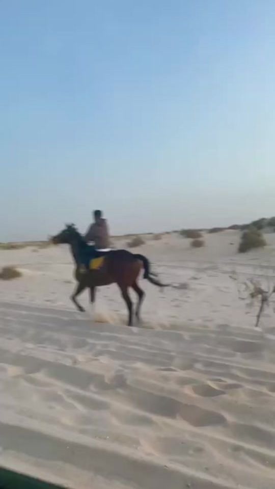 TikTok video thumbnail by m123.a7