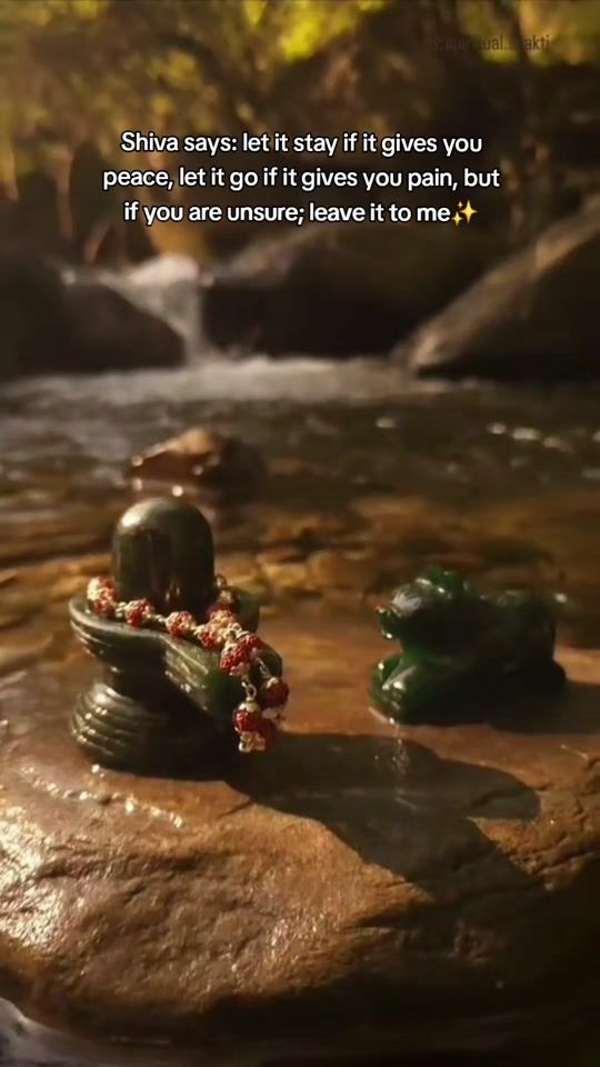TikTok video thumbnail by shairi_ssdutt