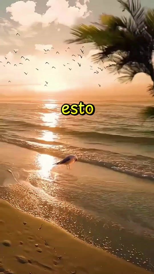 TikTok video thumbnail by pau.uleth