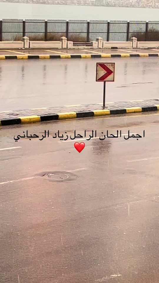 TikTok video thumbnail by robyaly