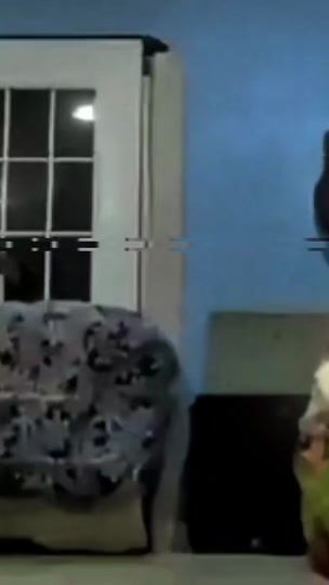 TikTok video thumbnail by castron_8