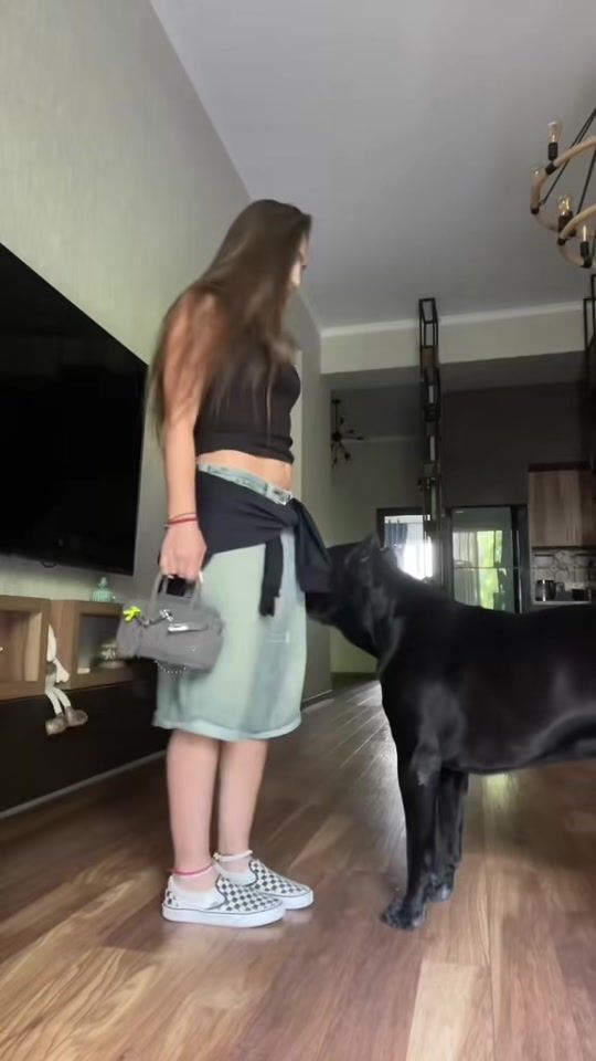 TikTok video thumbnail by lan..lan..lan
