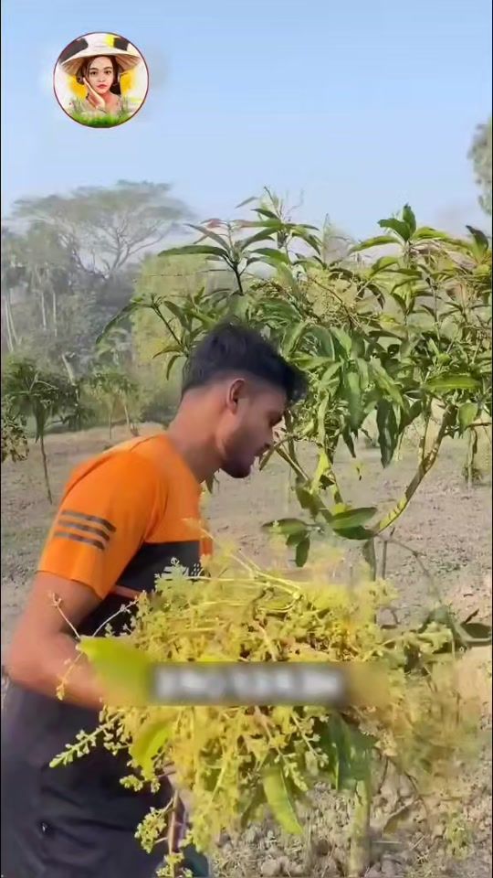 TikTok video thumbnail by user1812708228573