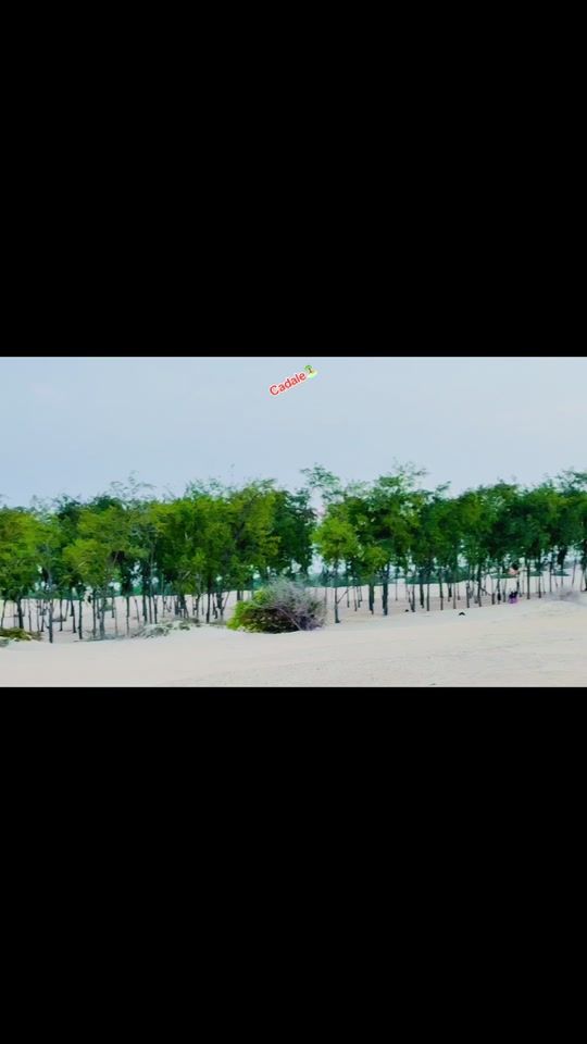TikTok video thumbnail by cabdi_muse962