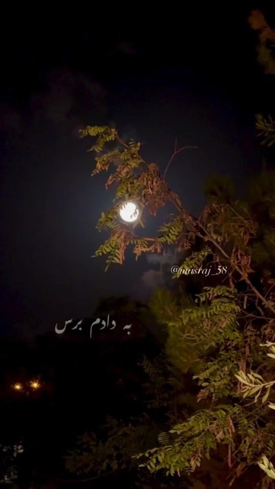 TikTok video thumbnail by darya.sa81
