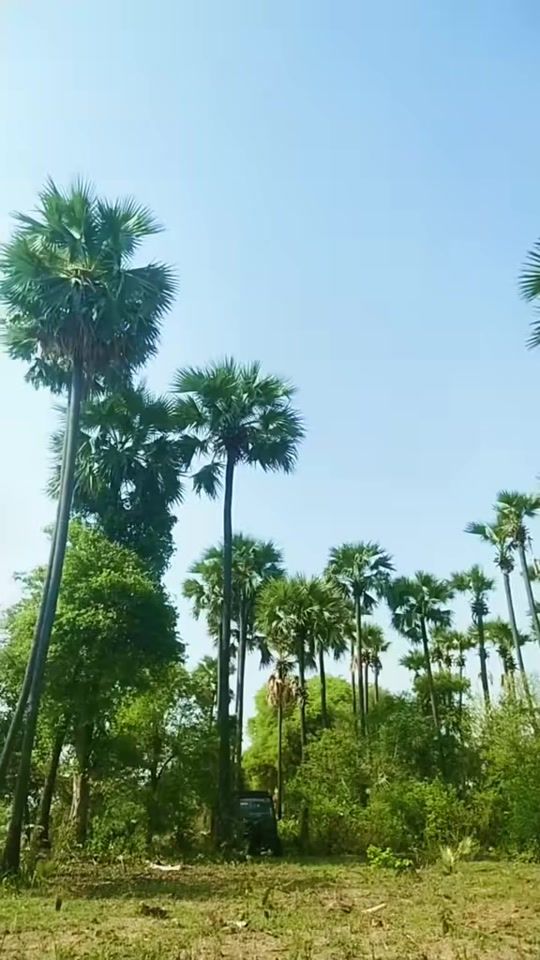 TikTok video thumbnail by phyuchaw0