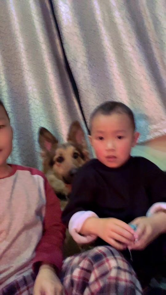 TikTok video thumbnail by sonamwangmo937