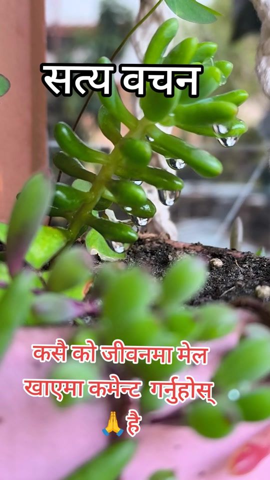 TikTok video thumbnail by goma_thapa
