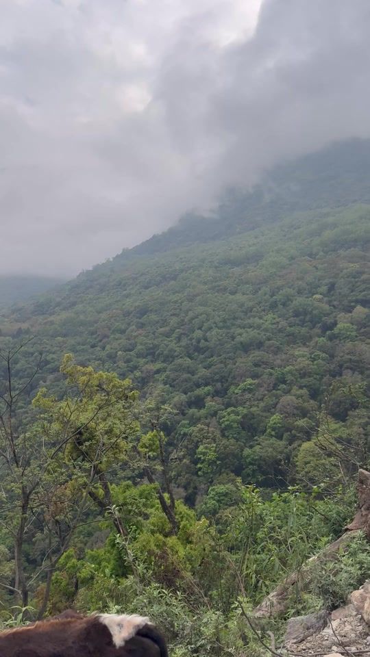 TikTok video thumbnail by 123wangchuk