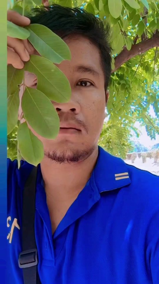 TikTok video thumbnail by pasnilchoojit