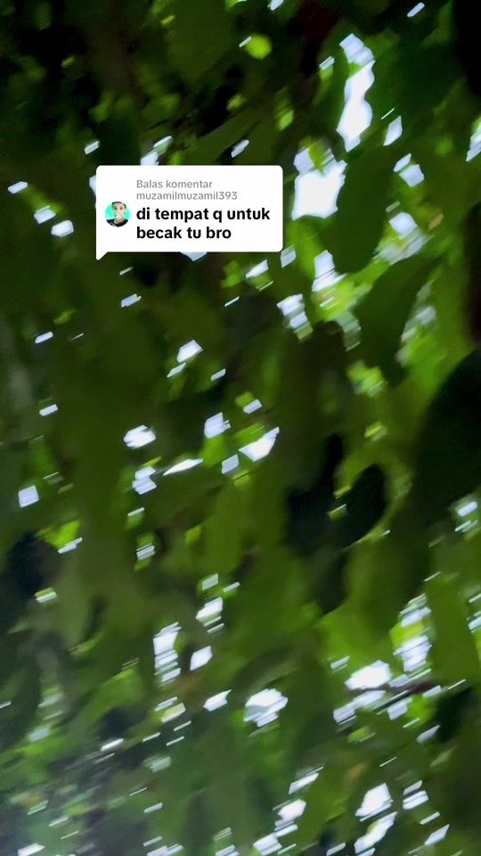 TikTok video thumbnail by amanizar23