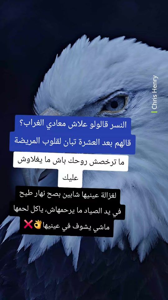 TikTok video thumbnail by king_alg12