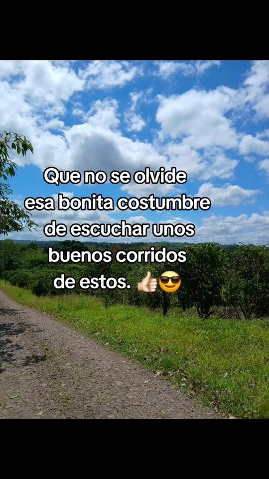 TikTok video thumbnail by antonio.elnica.505