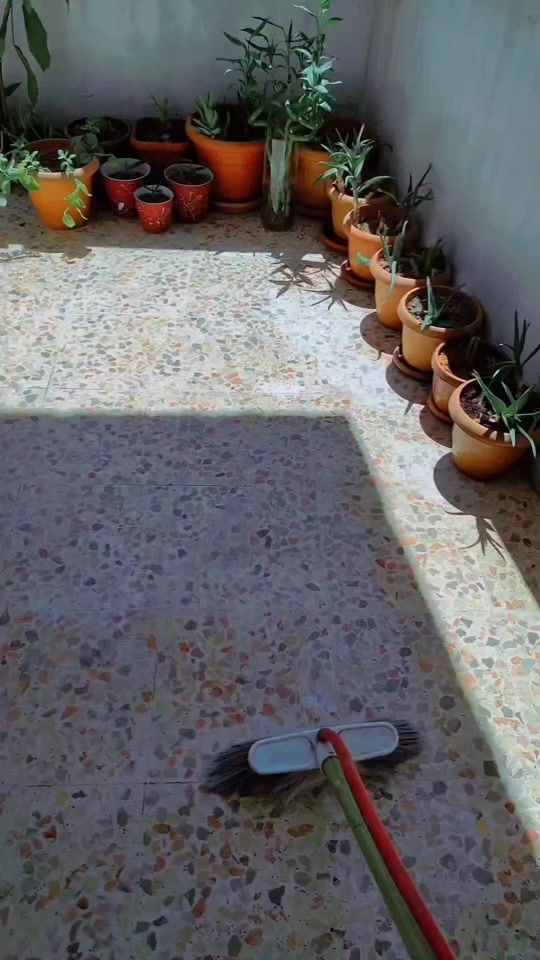 TikTok video thumbnail by alaa..aloush