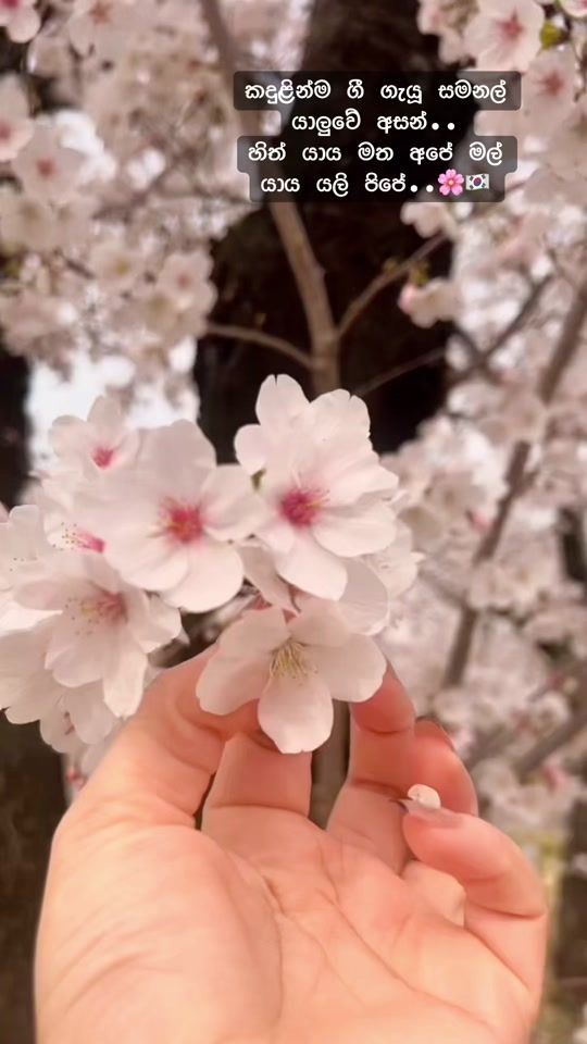 TikTok video thumbnail by vima3080