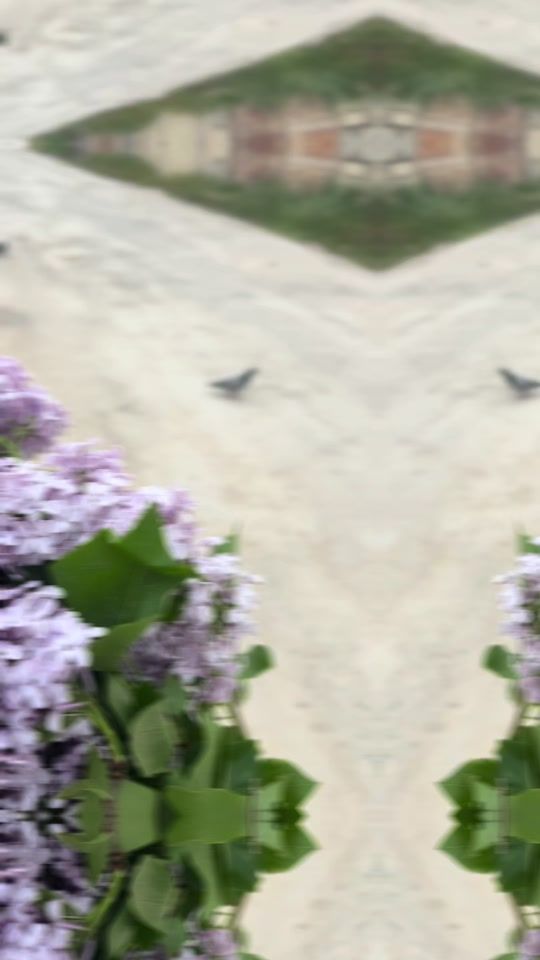 TikTok video thumbnail by fatime__313__