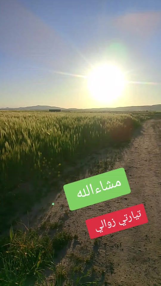 TikTok video thumbnail by omarsghire1