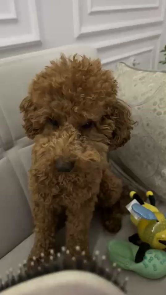 TikTok video thumbnail by srnazagorac