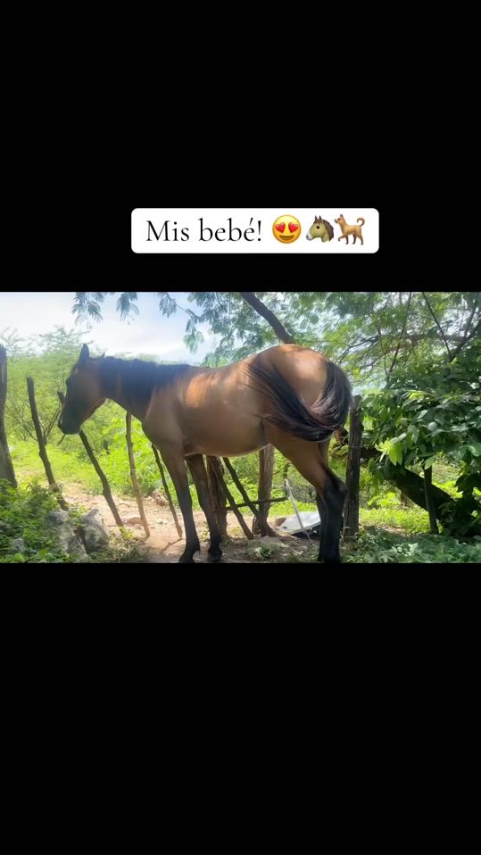 TikTok video thumbnail by darisrubio0