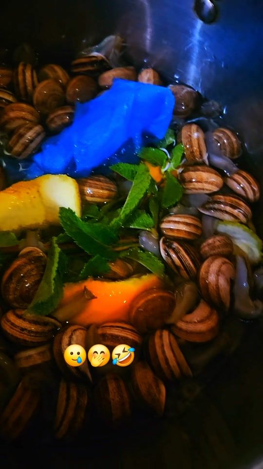 TikTok video thumbnail by tamazight370