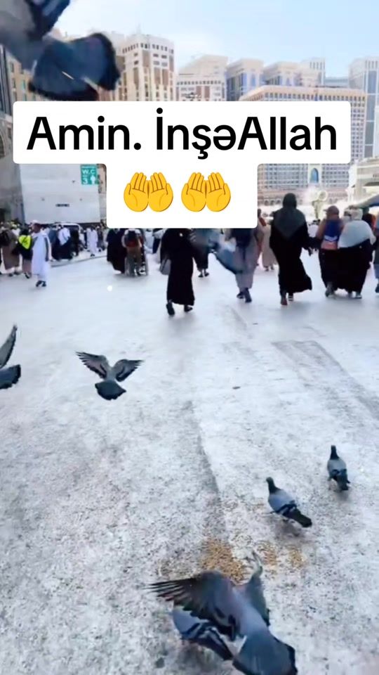 TikTok video thumbnail by tekbirallah01