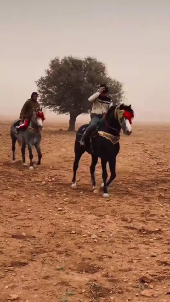 TikTok video thumbnail by kamel..tr.14