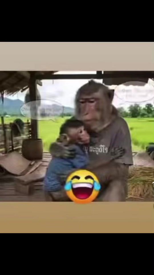 TikTok video thumbnail by .1133623