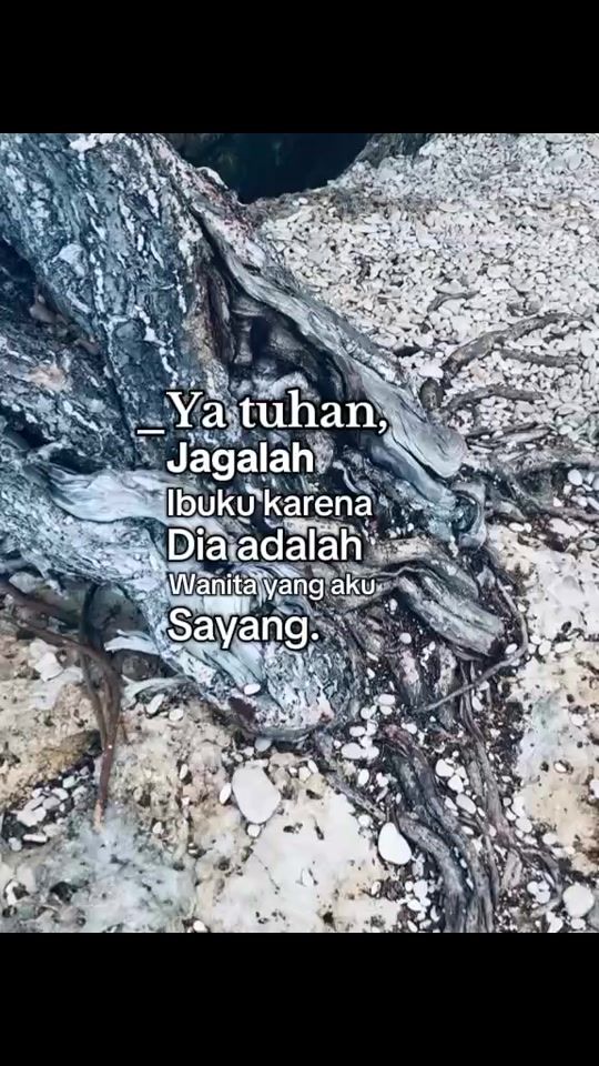 TikTok video thumbnail by kontak4554
