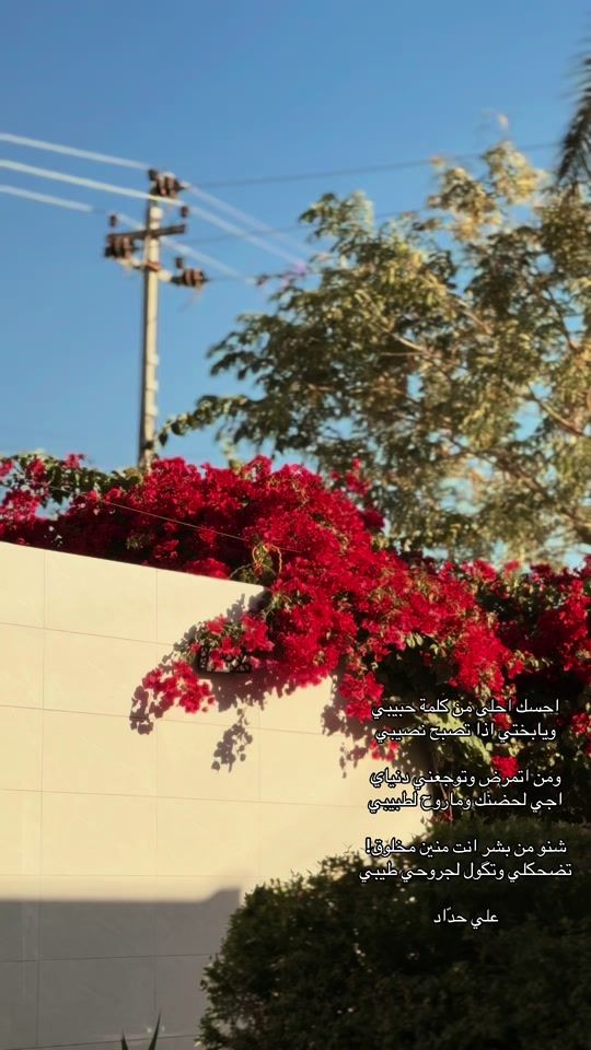 TikTok video thumbnail by ali__hdad