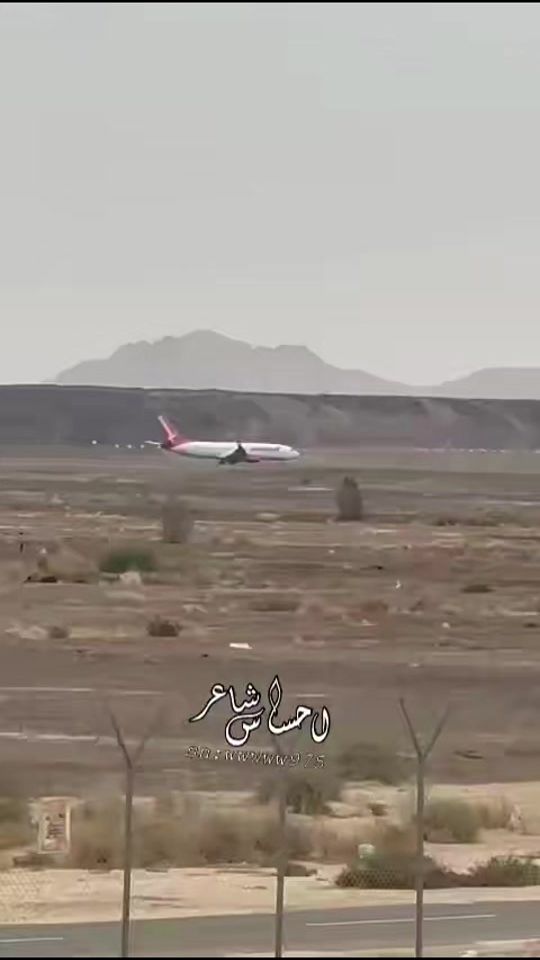 TikTok video thumbnail by wf8j