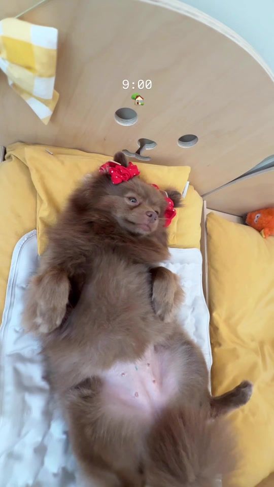 TikTok video thumbnail by br0wnbam