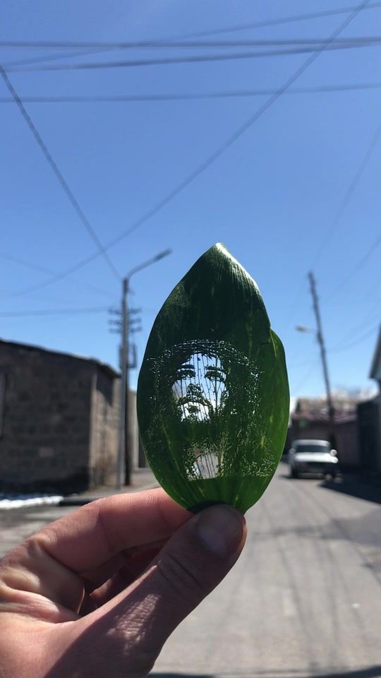 TikTok video thumbnail by pavelbernetsyan87