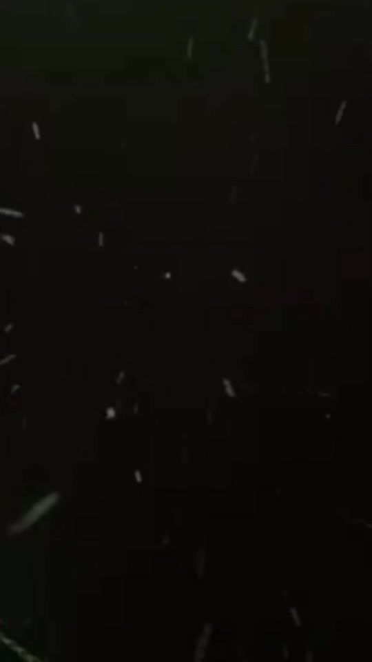 TikTok video thumbnail by the..tayf