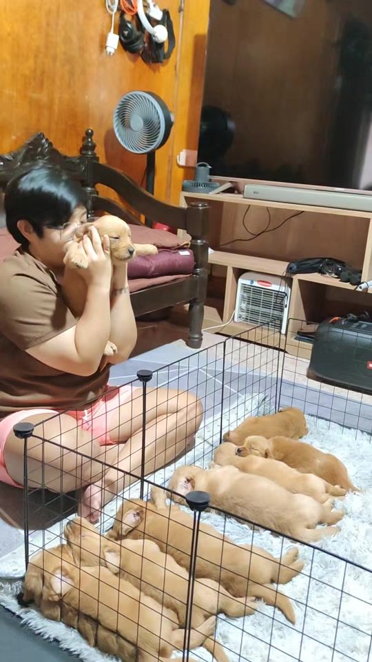 TikTok video thumbnail by woof_wooff_