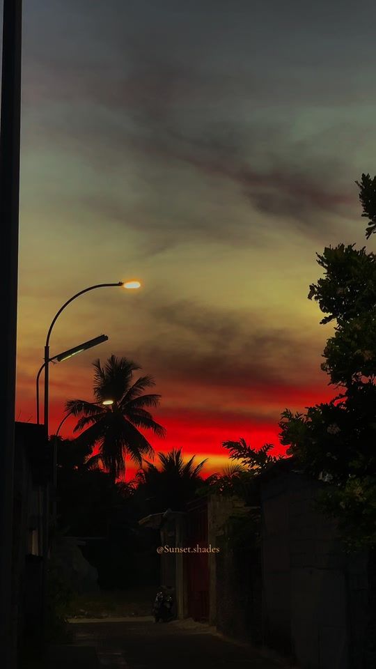 TikTok video thumbnail by sunset.shades