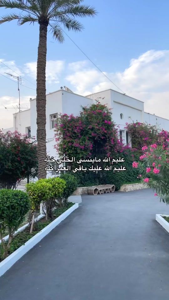 TikTok video thumbnail by noon..187