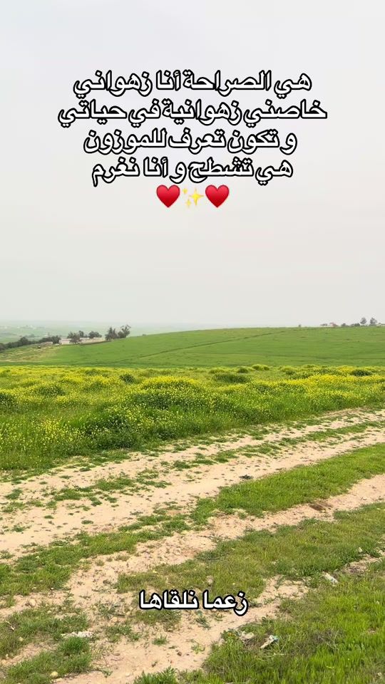 TikTok video thumbnail by lmzabi_amine