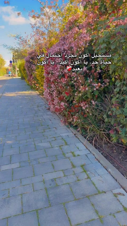 TikTok video thumbnail by hayfa_ar3