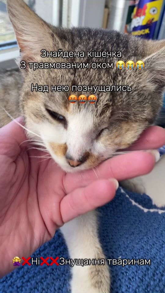 TikTok video thumbnail by margo.vet