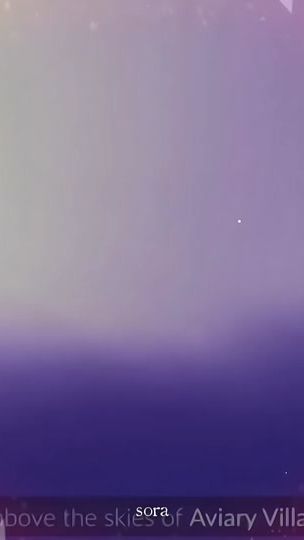 TikTok video thumbnail by thsky.sora