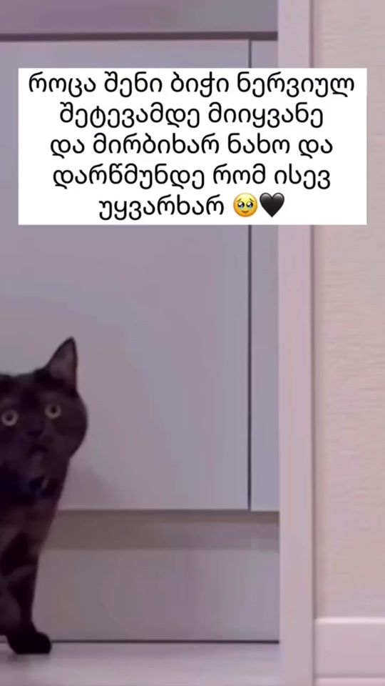 TikTok video thumbnail by darina_tarieladze5