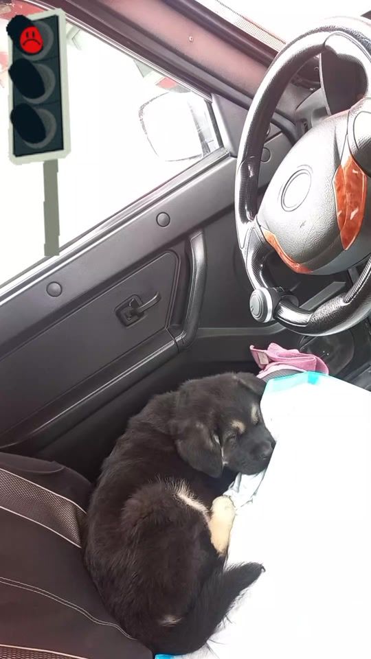 TikTok video thumbnail by marichka_kem