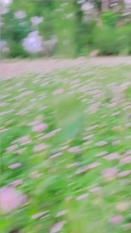 TikTok video thumbnail by seema.kumari16