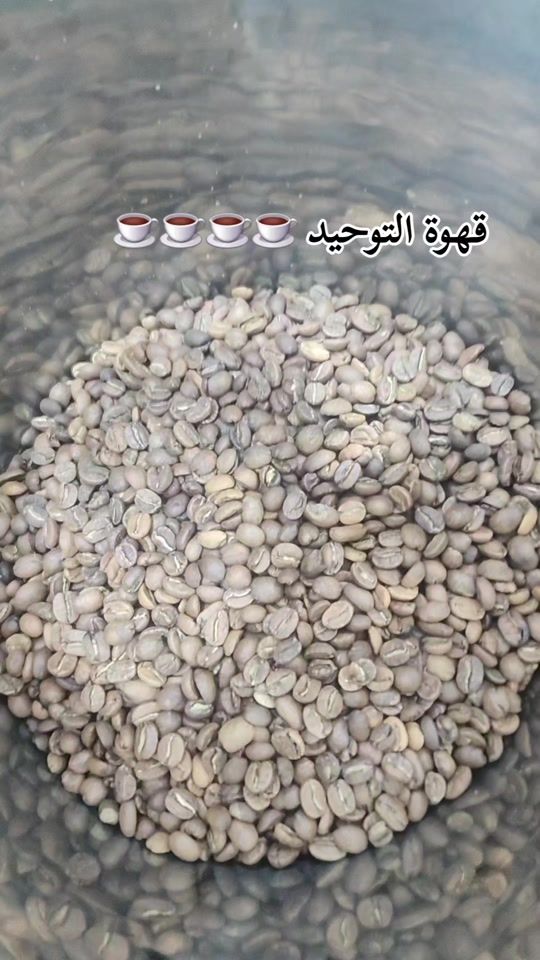 TikTok video thumbnail by abushadi1990